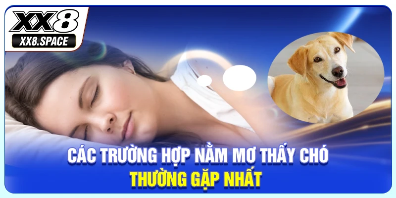 Các trường hợp nằm mơ thấy chó thường gặp nhất