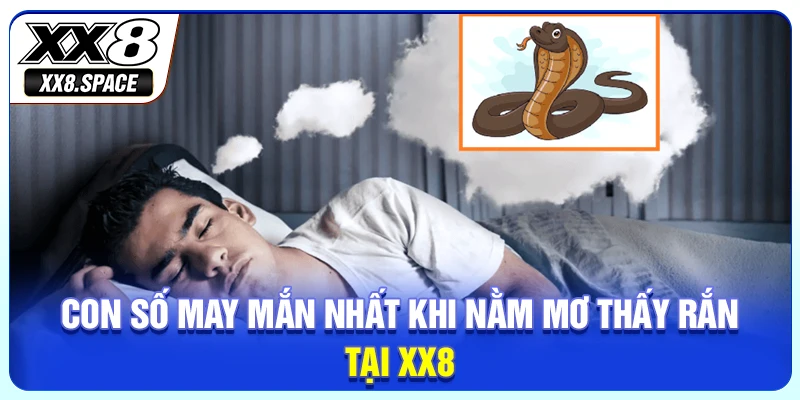 Con số may mắn nhất khi nằm mơ thấy rắn tại XX8