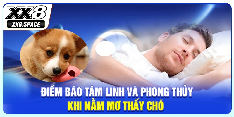 Điềm báo tâm linh và phong thủy khi nằm mơ thấy chó