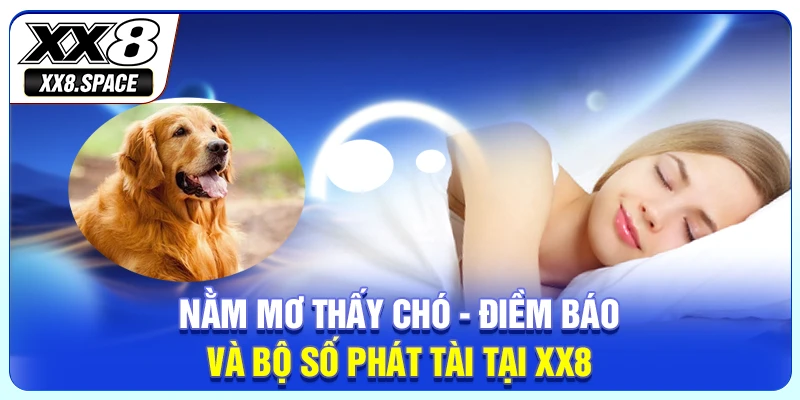 Nằm Mơ Thấy Chó - Điềm Báo Và Bộ Số Phát Tài Tại XX8