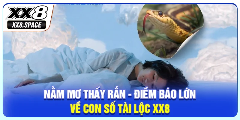 Nằm Mơ Thấy Rắn - Điềm Báo Lớn Về Con Số Tài Lộc XX8